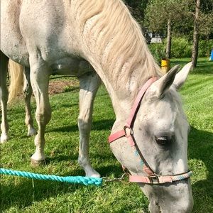 Meet your Posher, Katelynn